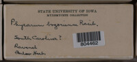 Image Associated With the Occurence
